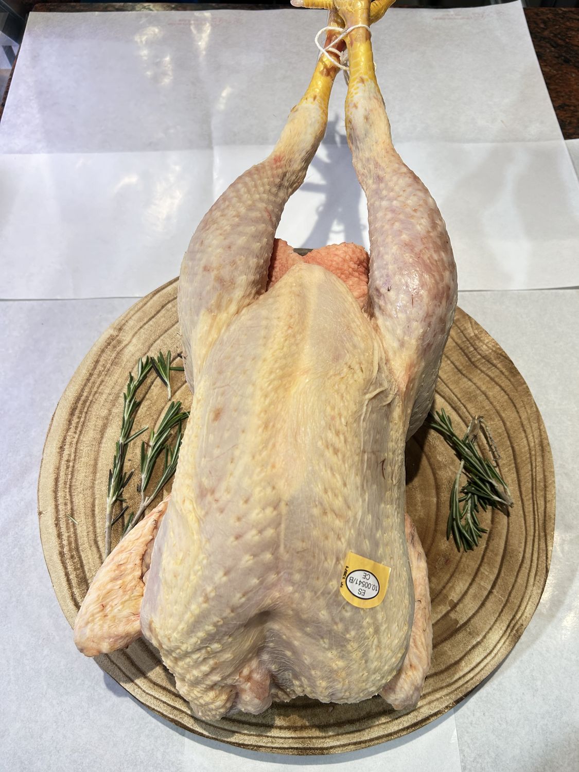 Pollo de pastura
